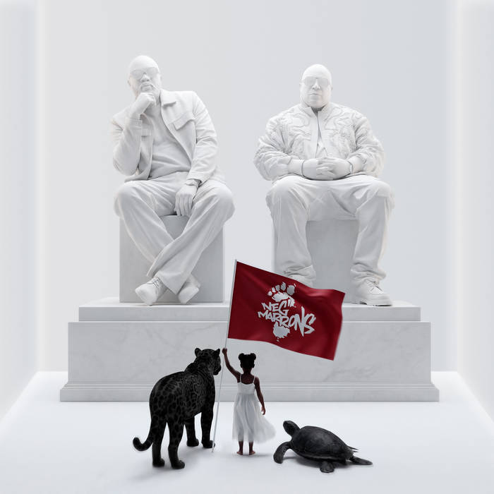 Nèg' Marrons, pochette d'album, Nèg' Marrons