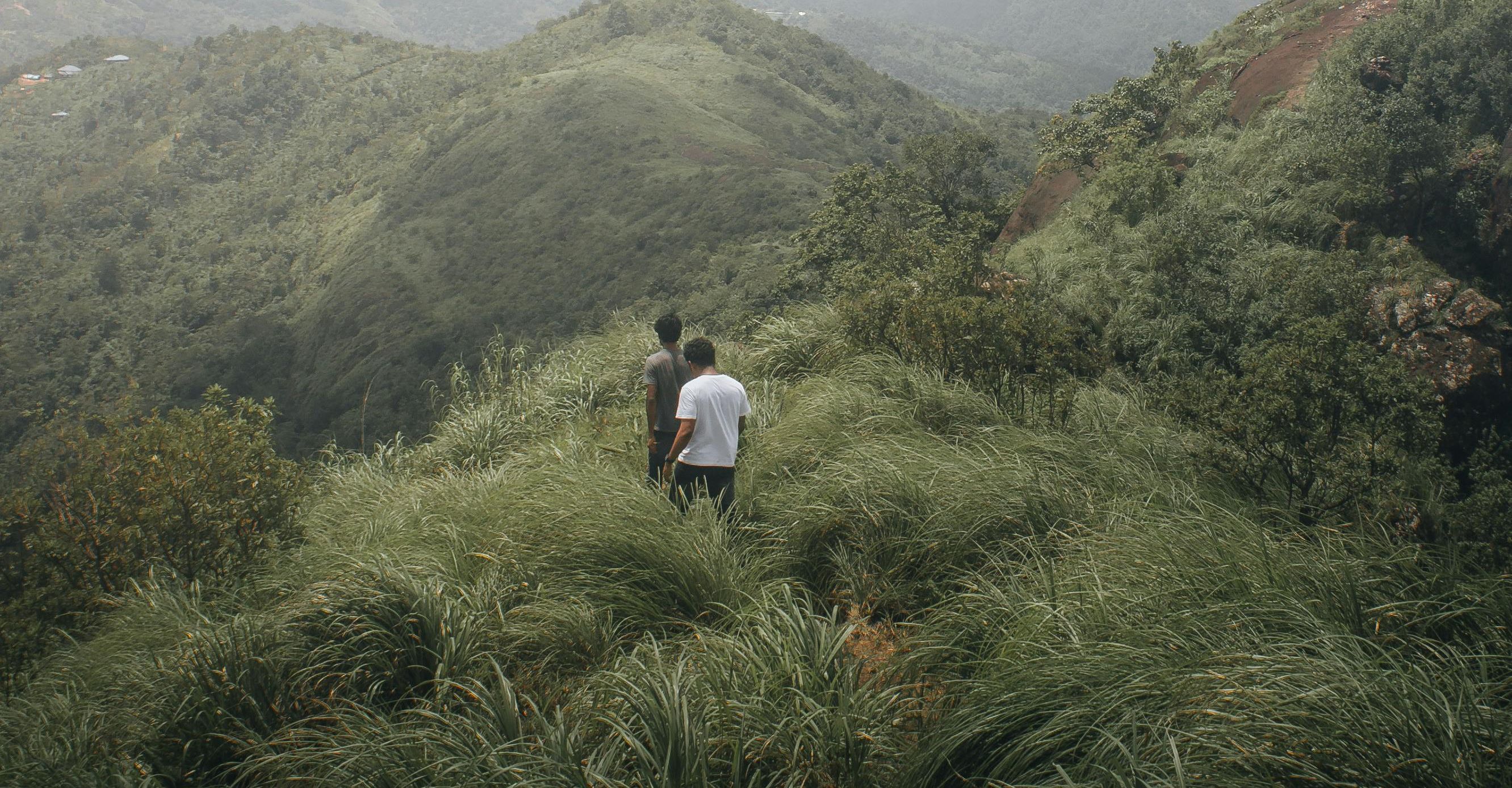 Marche trek activité en Martinique